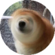 彬红茶